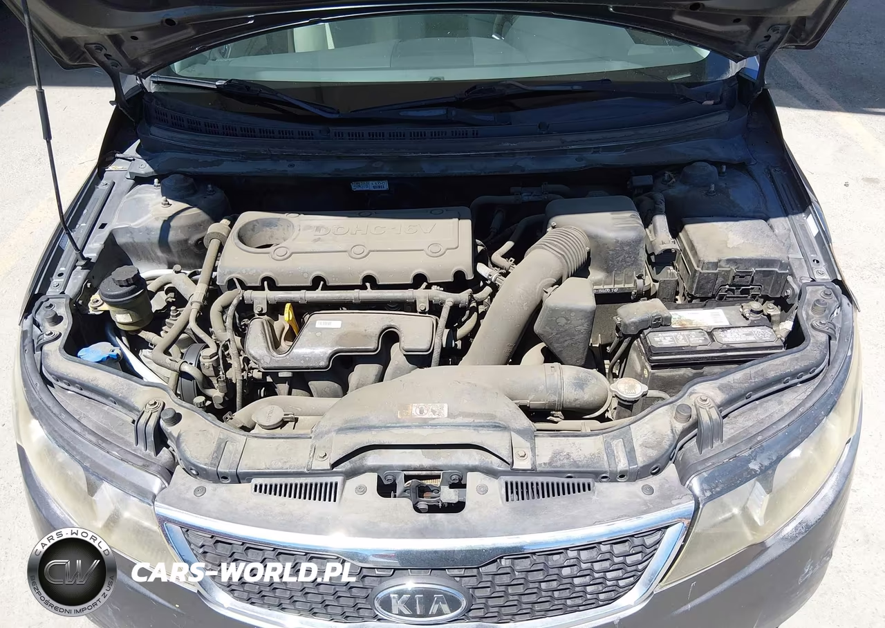 2013 Kia Forte Ex VIN:KNAFU4A25D5731390 - 10
