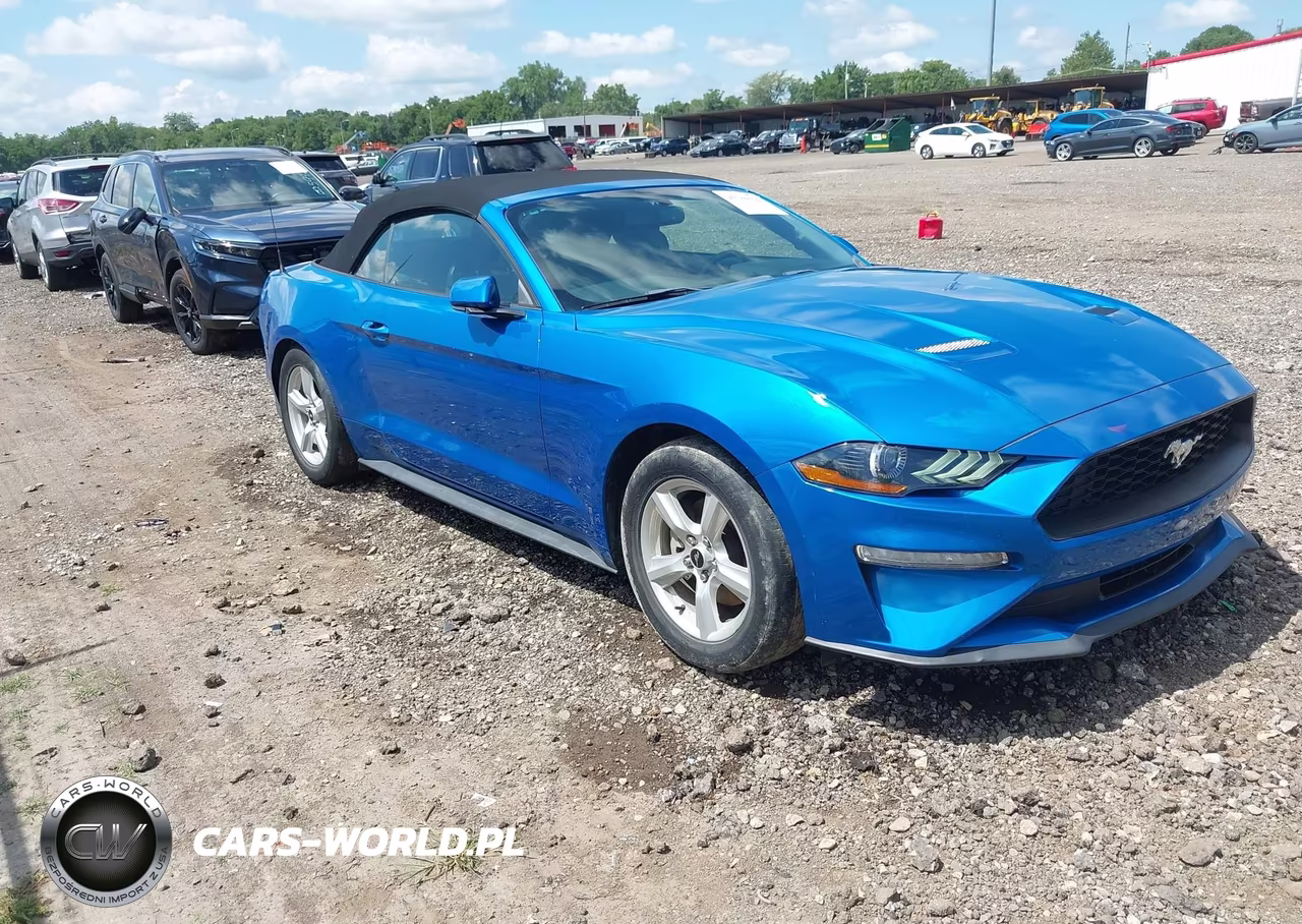 2019 Ford Mustang Ecoboost