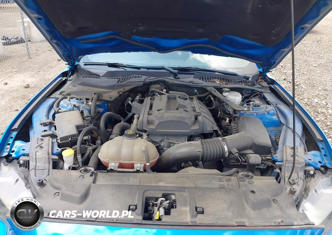 2019 Ford Mustang Ecoboost VIN:1FATP8UHXK5192210 - 10