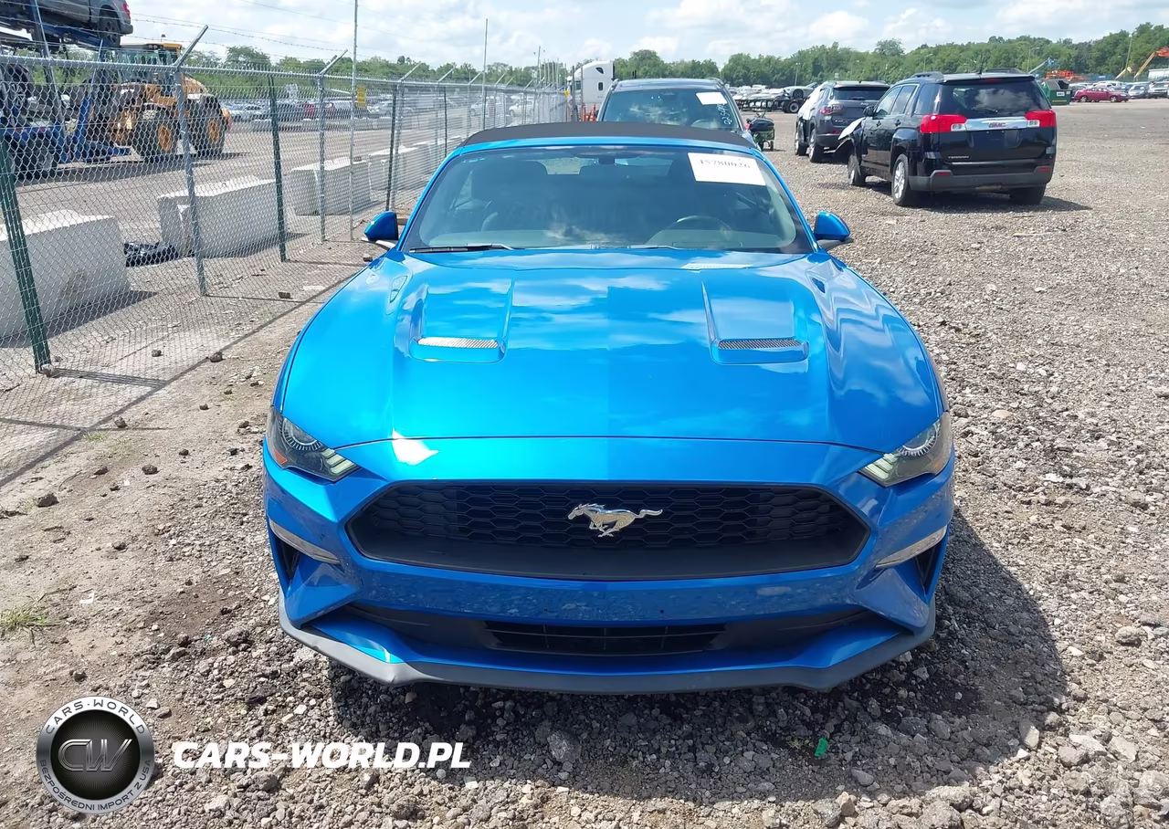 2019 Ford Mustang Ecoboost VIN:1FATP8UHXK5192210 - 12
