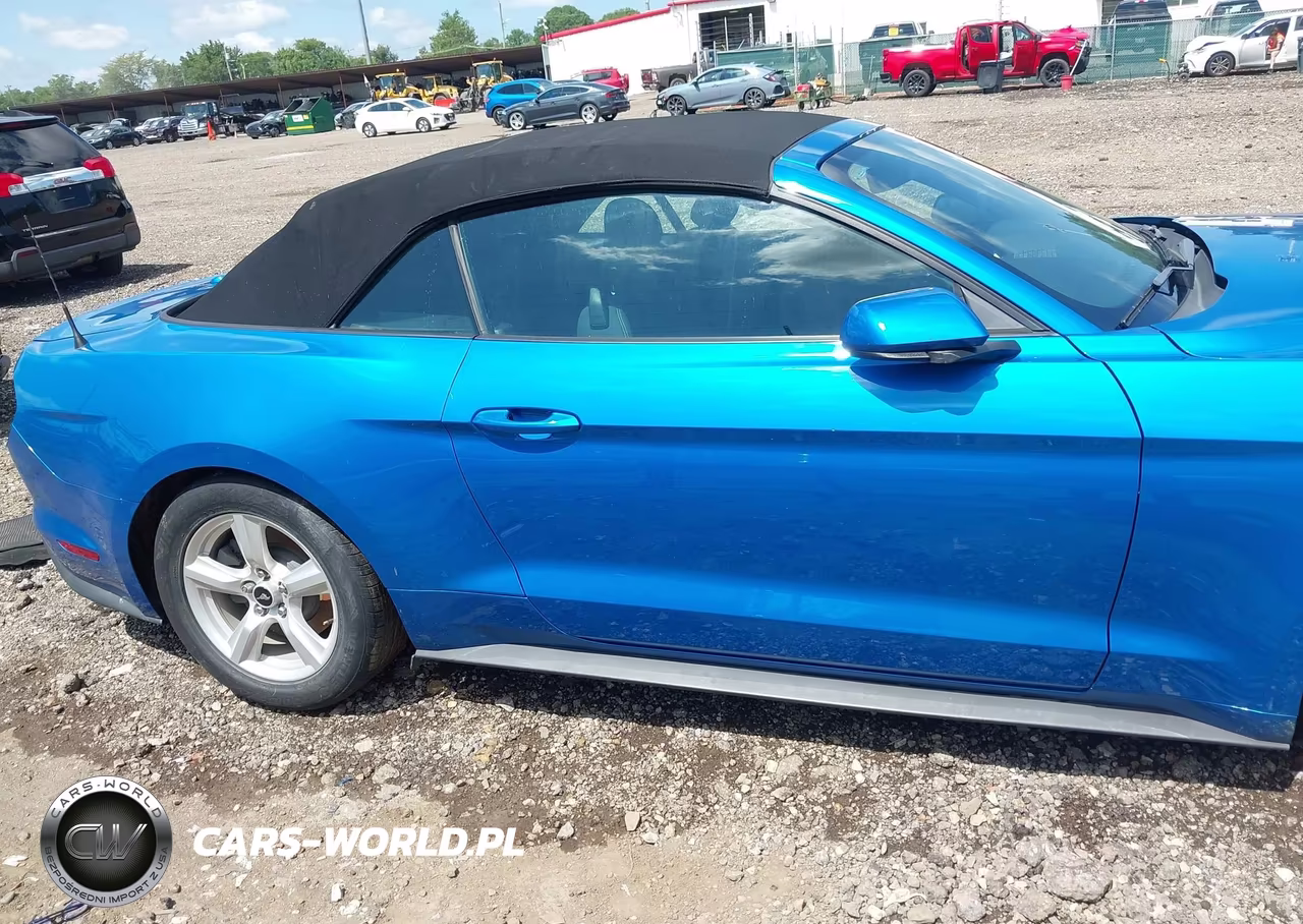 2019 Ford Mustang Ecoboost VIN:1FATP8UHXK5192210 - 13