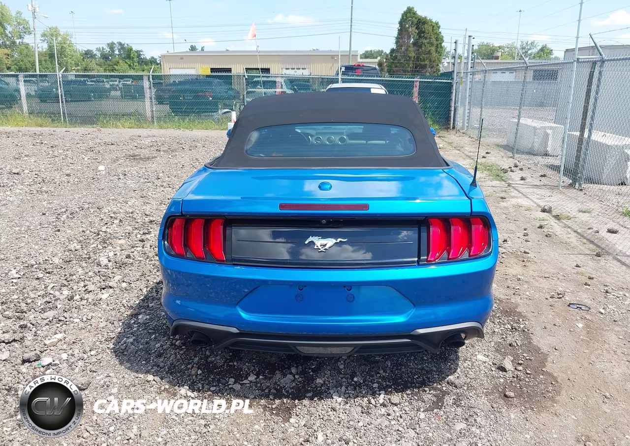 2019 Ford Mustang Ecoboost VIN:1FATP8UHXK5192210 - 16