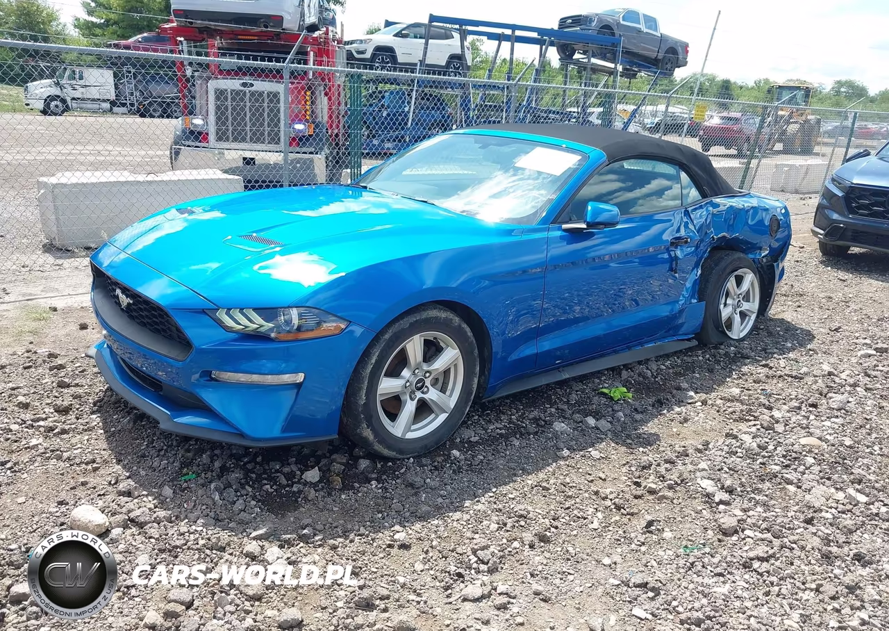 2019 Ford Mustang Ecoboost VIN:1FATP8UHXK5192210 - 2