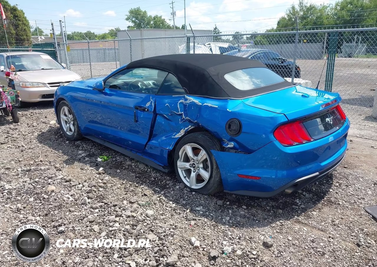 2019 Ford Mustang Ecoboost VIN:1FATP8UHXK5192210 - 3