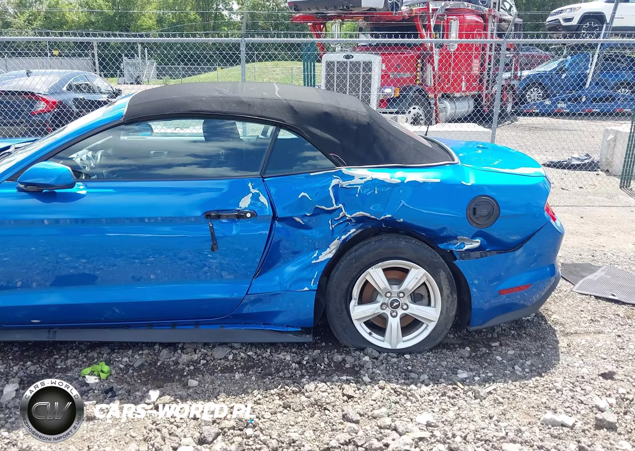 2019 Ford Mustang Ecoboost VIN:1FATP8UHXK5192210 - 6