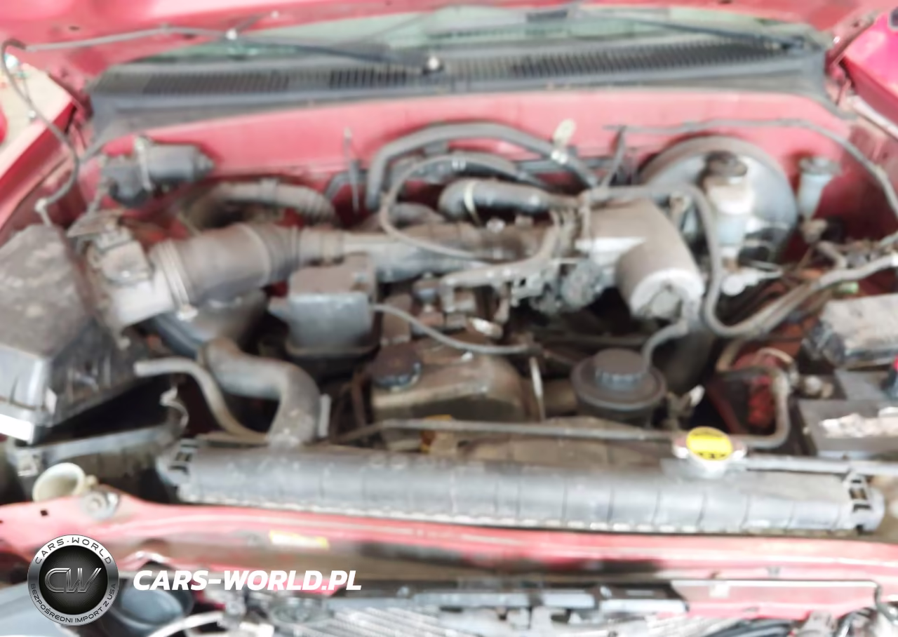 2004 Toyota Tacoma VIN:5TENL42NX4Z316556 - 10