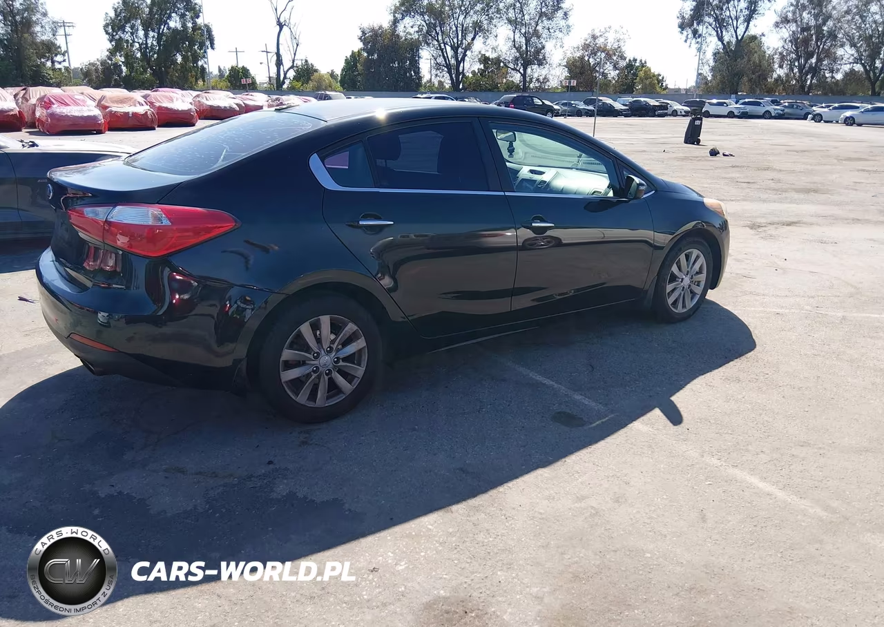 2014 Kia Forte Ex VIN:KNAFX4A89E5105872 - 4