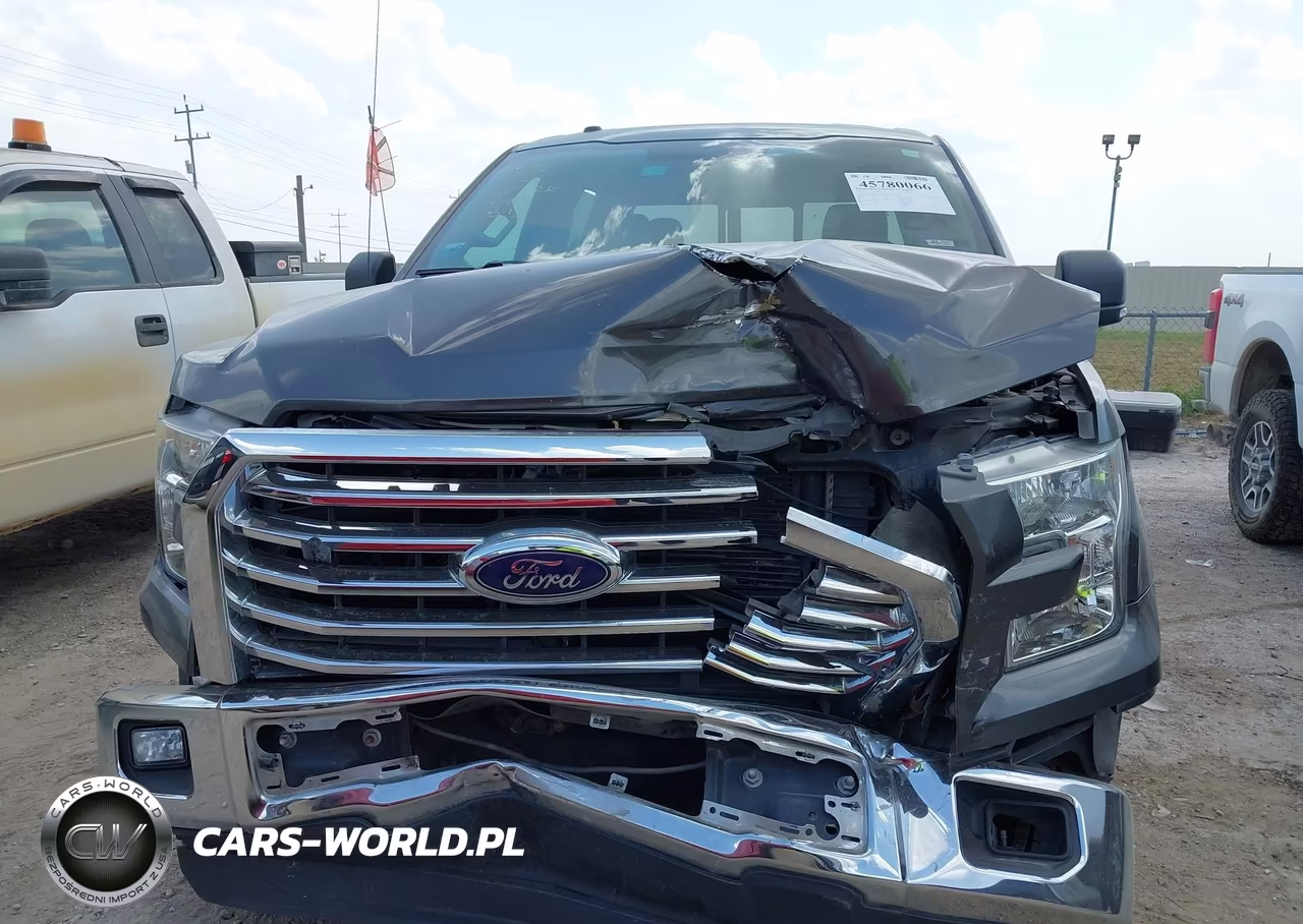 2015 Ford F-150 Xlt VIN:1FTEW1CF4FKD77244 - 12