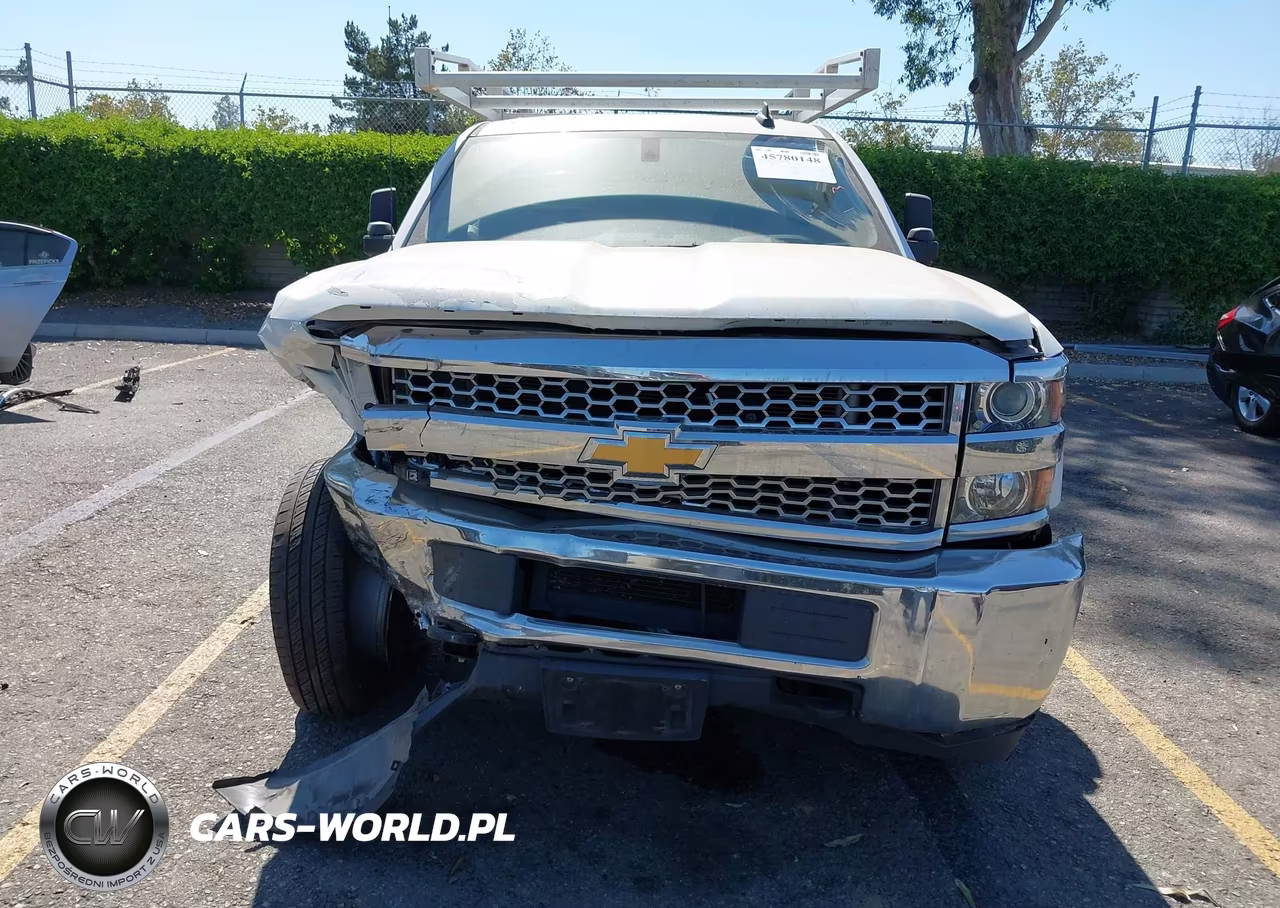 2019 Chevrolet Silverado 2500Hd Wt VIN:2GB2CREG3K1222473 - 12