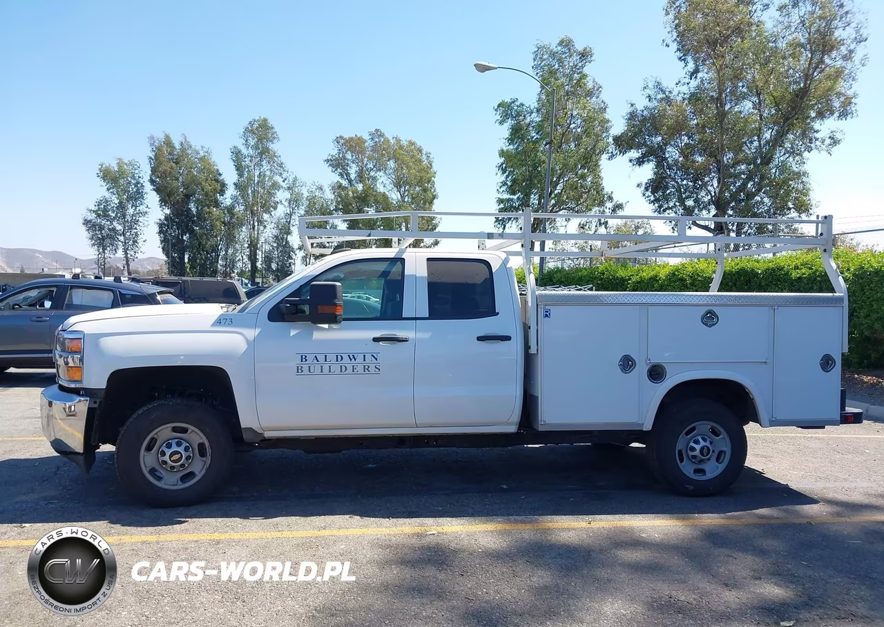 2019 Chevrolet Silverado 2500Hd Wt VIN:2GB2CREG3K1222473 - 16