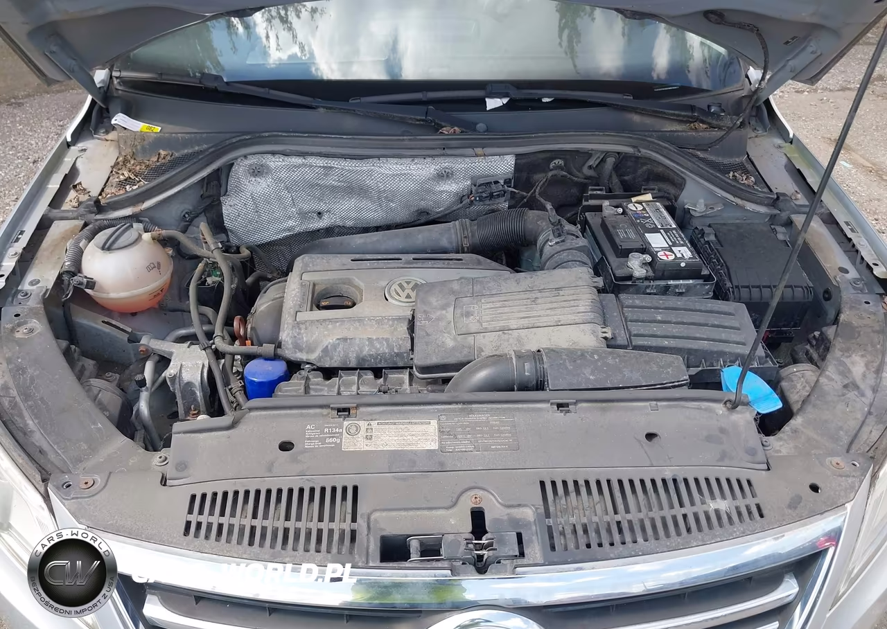 2010 Volkswagen Tiguan S VIN:WVGAV7AX6AW525827 - 10