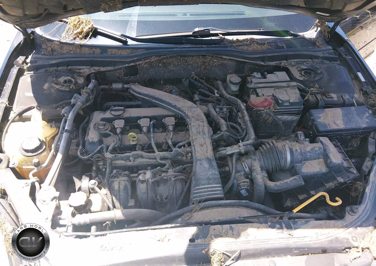 2007 Ford Fusion Sel VIN:3FAHP08ZX7R158248 - 10