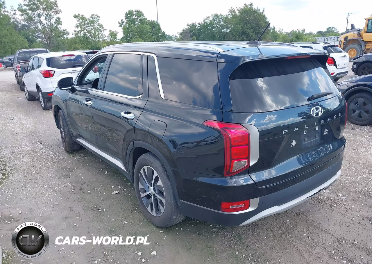 2020 Hyundai Palisade Sel VIN:KM8R24HE7LU150415 - 3