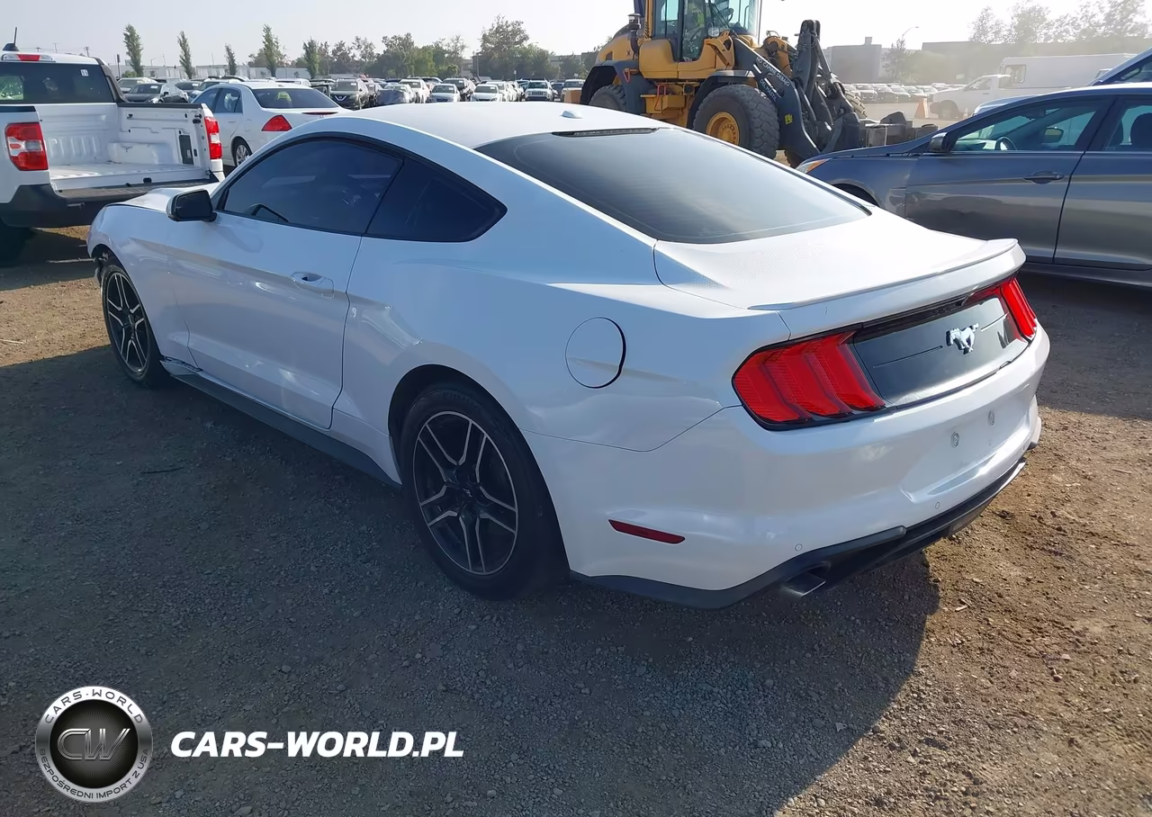2018 Ford Mustang Ecoboost VIN:1FA6P8TH8J5125067 - 3