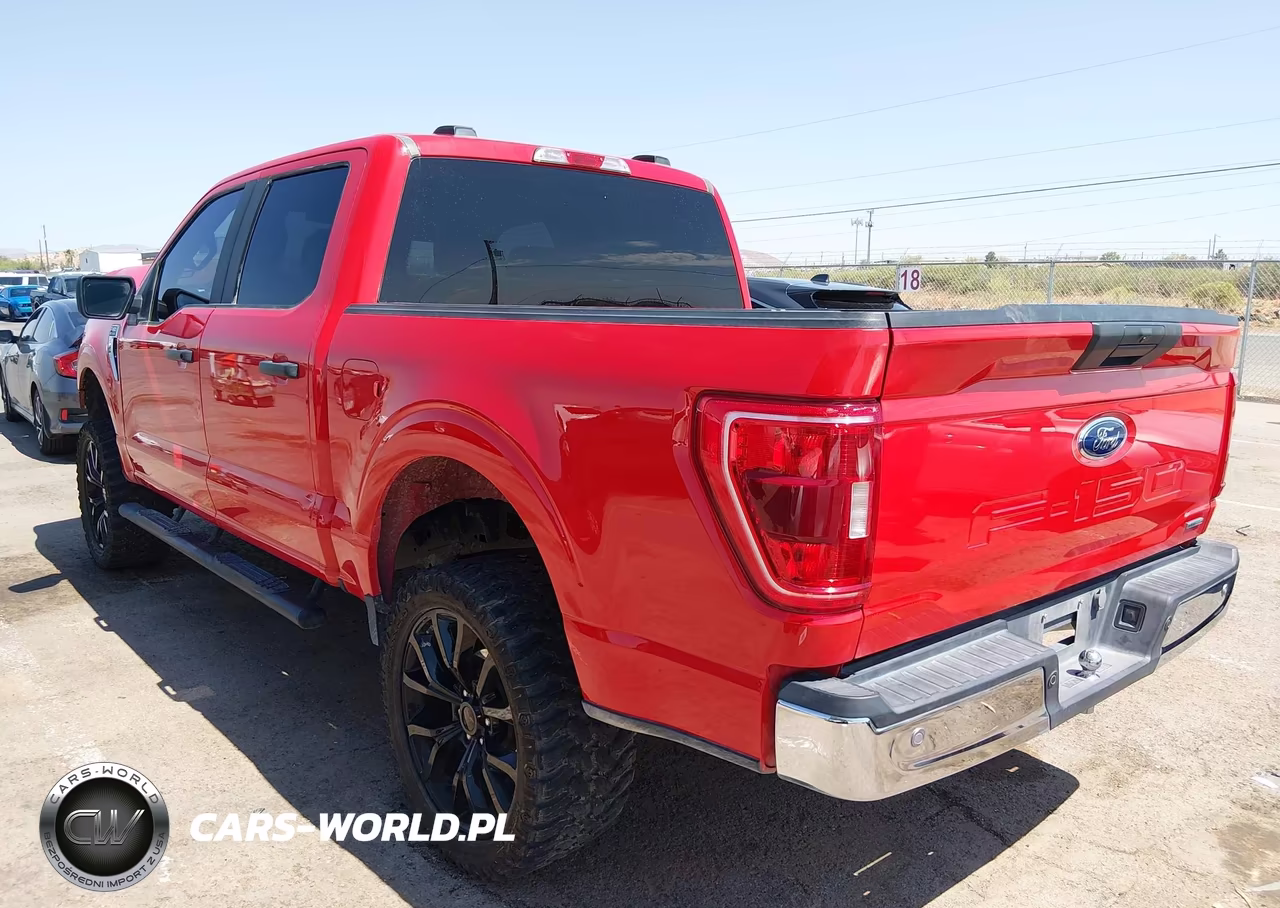 2023 Ford F-150 Xlt VIN:1FTEW1C81PKD35293 - 3