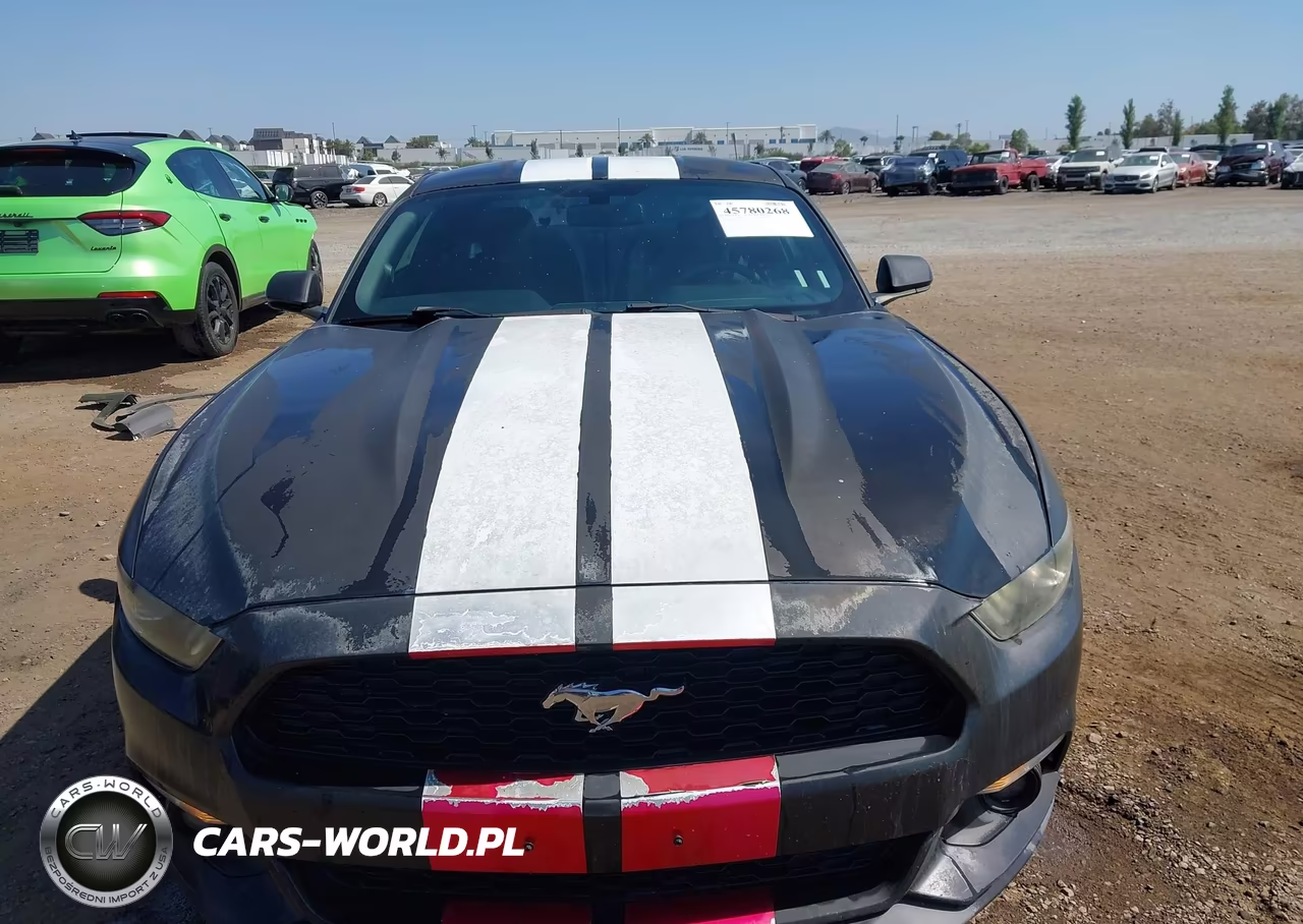 2015 Ford Mustang Ecoboost VIN:1FA6P8TH7F5332993 - 12