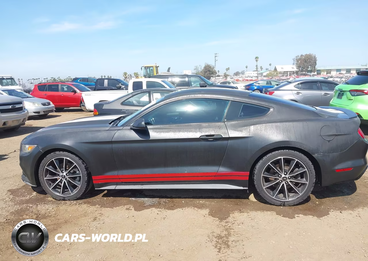 2015 Ford Mustang Ecoboost VIN:1FA6P8TH7F5332993 - 14