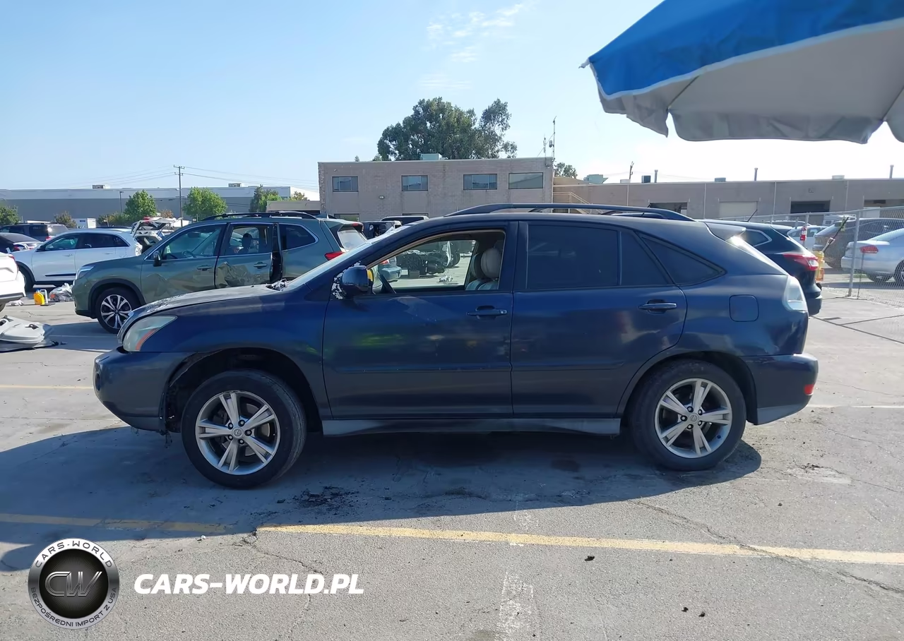 2006 Lexus Rx 400H VIN:JTJHW31U460004868 - 13