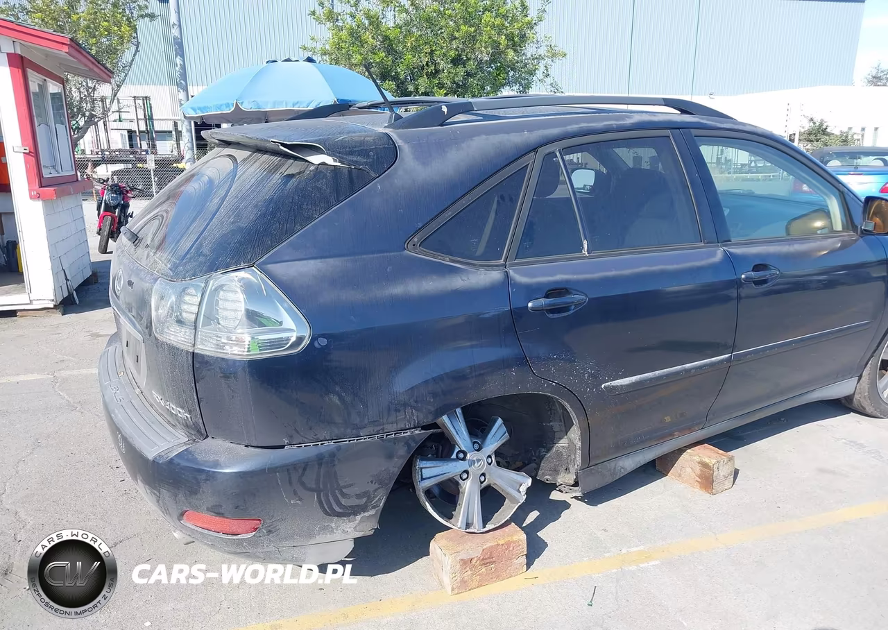2006 Lexus Rx 400H VIN:JTJHW31U460004868 - 6