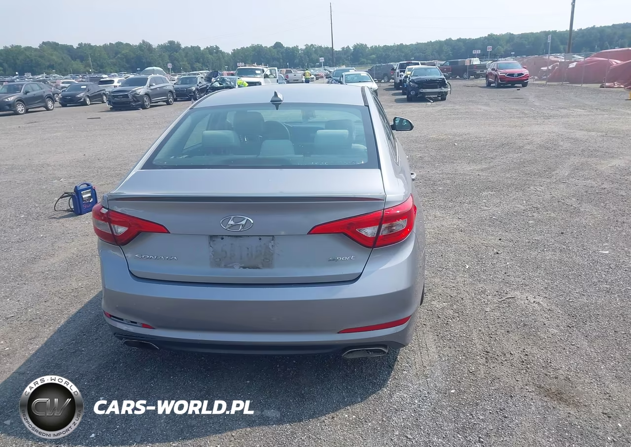 2016 Hyundai Sonata Sport VIN:5NPE34AF3GH297852 - 16
