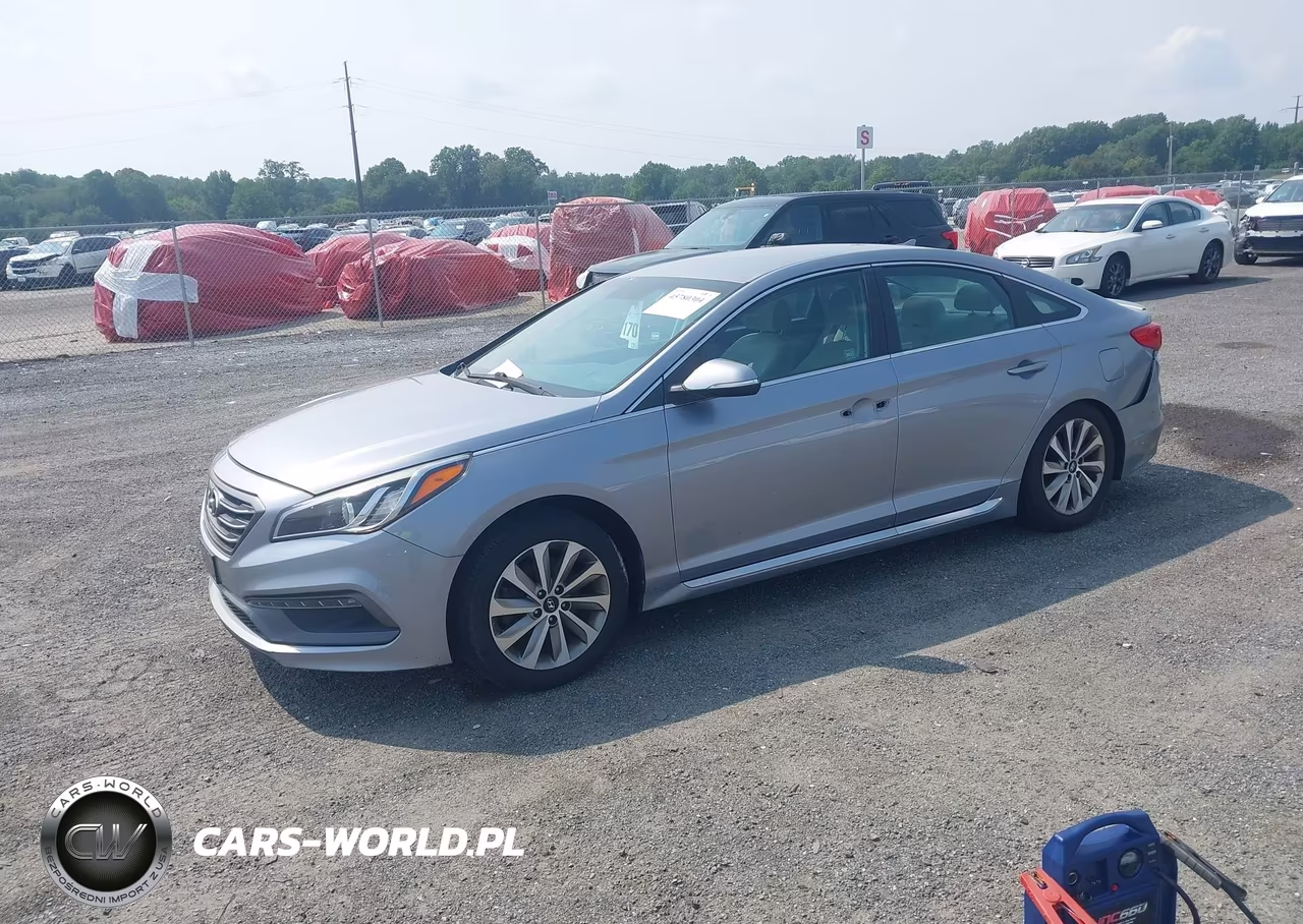 2016 Hyundai Sonata Sport VIN:5NPE34AF3GH297852 - 2