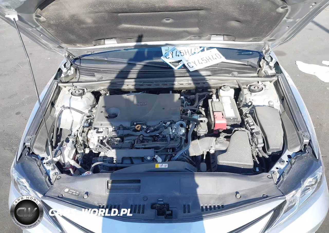 2024 Toyota Camry Le VIN:4T1C11AKXRU882960 - 10