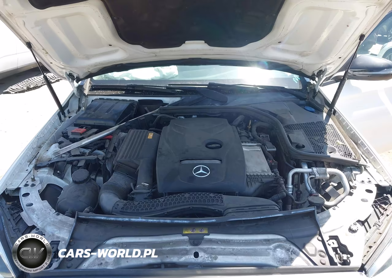 2018 Mercedes-Benz C 300 VIN:55SWF4JB0JU254924 - 10
