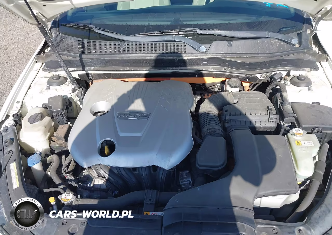 2012 KIA OPTIMA HYBRID EX VIN:KNAGM4AD5C5028229 - 10