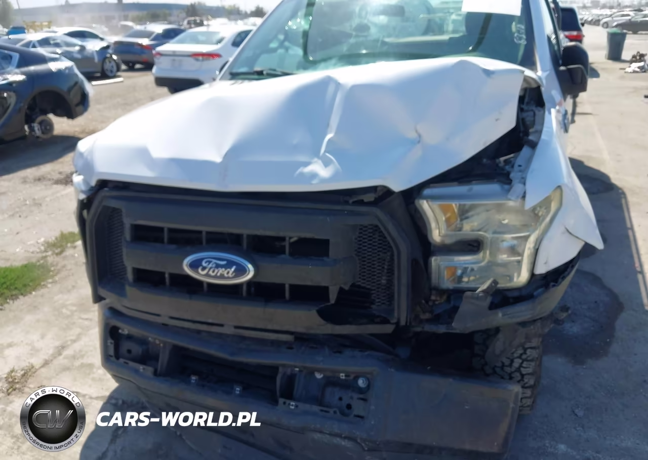 2016 Ford F-150 Xl VIN:1FTMF1CP7GKD17903 - 6