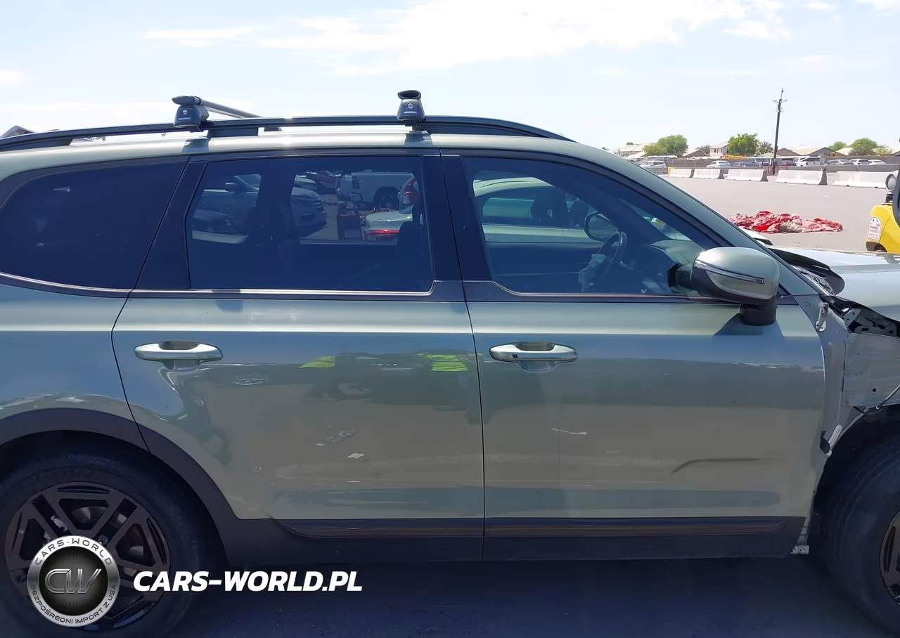 2024 Kia Telluride Ex X-Line VIN:5XYP3DGC3RG534288 - 14
