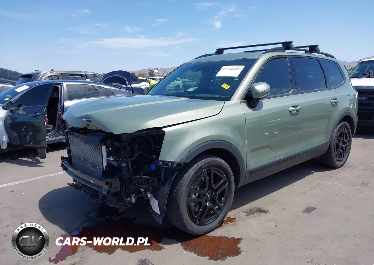 2024 Kia Telluride Ex X-Line VIN:5XYP3DGC3RG534288 - 2