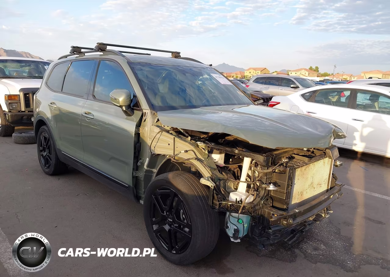 2024 Kia Telluride Ex X-Line VIN:5XYP3DGC3RG534288 - 6