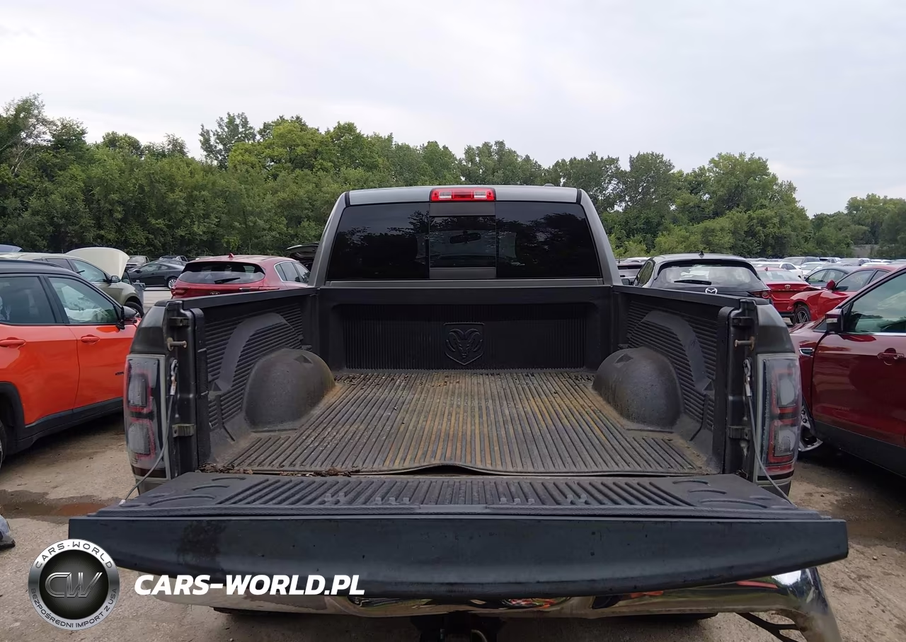 2009 Dodge Ram 1500 Slt-Sport-Trx VIN:1D3HV18T69S702812 - 12