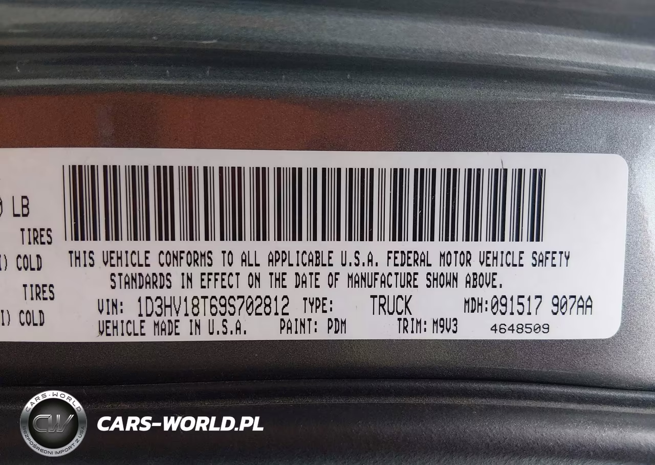 2009 Dodge Ram 1500 Slt-Sport-Trx VIN:1D3HV18T69S702812 - 9