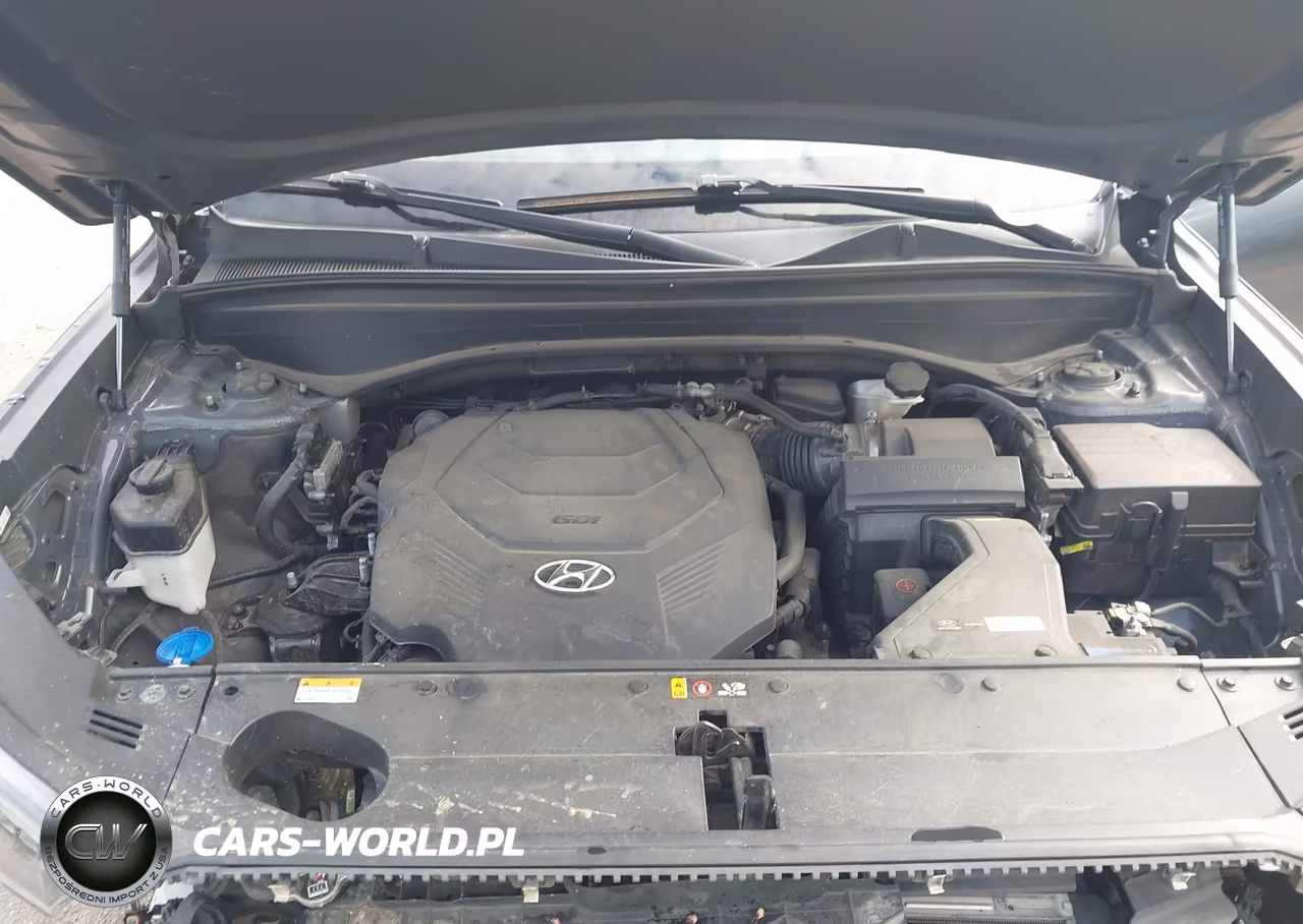 2022 Hyundai Palisade Calligraphy VIN:KM8R74HE6NU342963 - 10