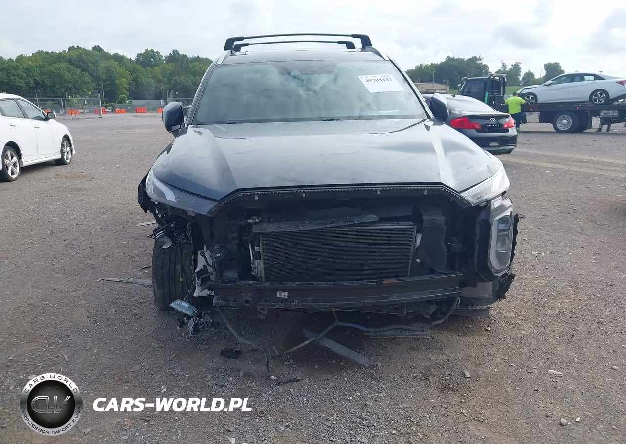 2022 Hyundai Palisade Calligraphy VIN:KM8R74HE6NU342963 - 6