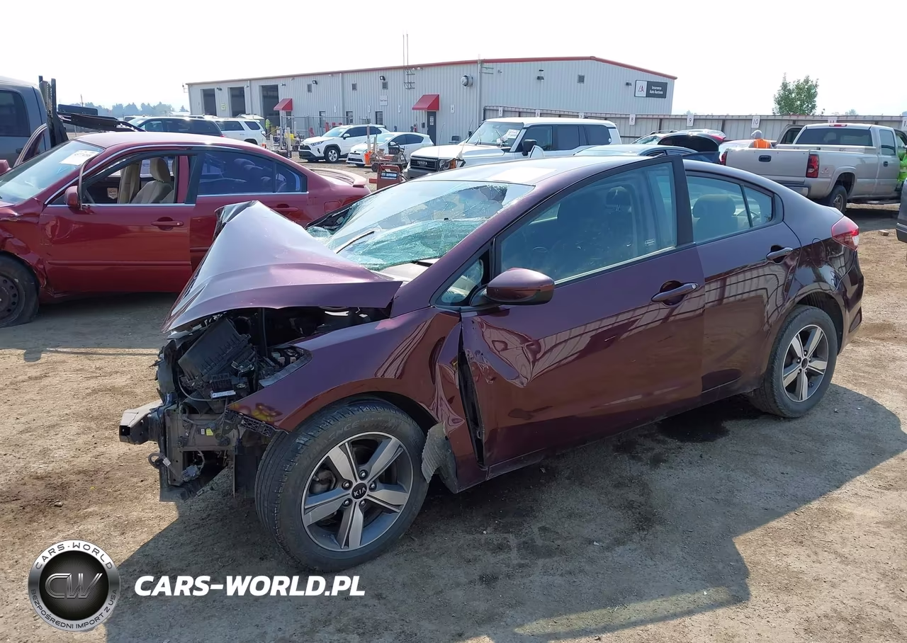 2018 Kia Forte Lx VIN:3KPFL4A77JE170675 - 2