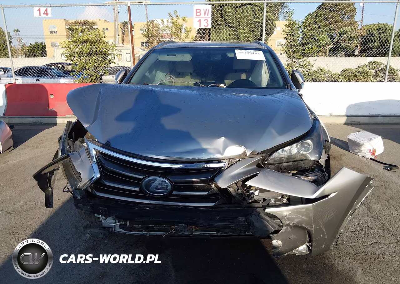 2016 Lexus Nx 300H VIN:JTJBJRBZXG2035548 - 12