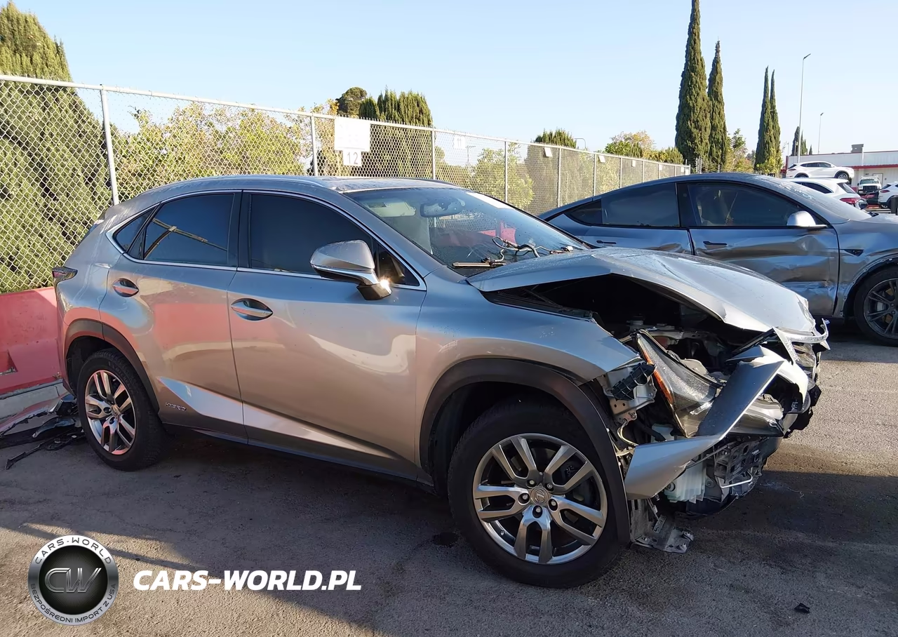 2016 Lexus Nx 300H VIN:JTJBJRBZXG2035548 - 13