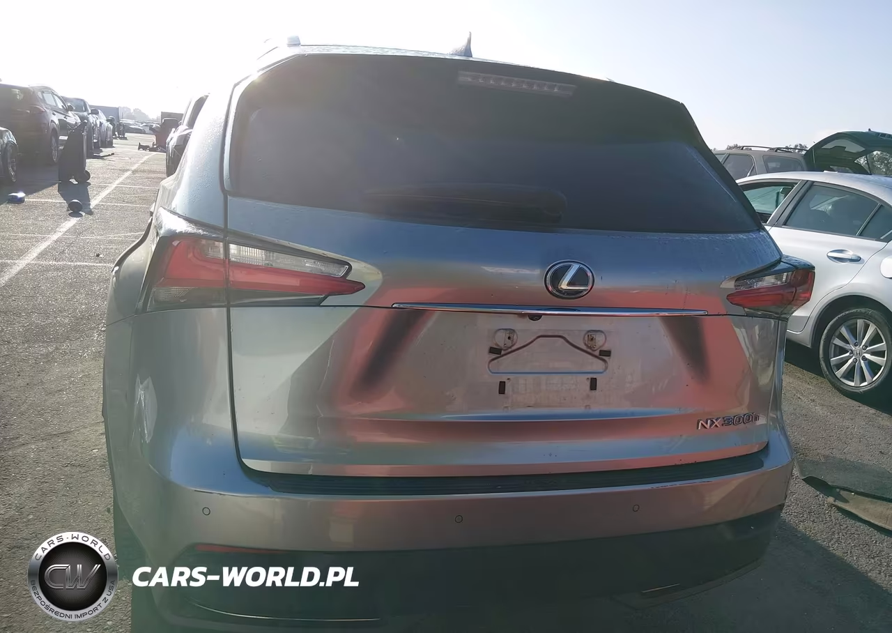 2016 Lexus Nx 300H VIN:JTJBJRBZXG2035548 - 16
