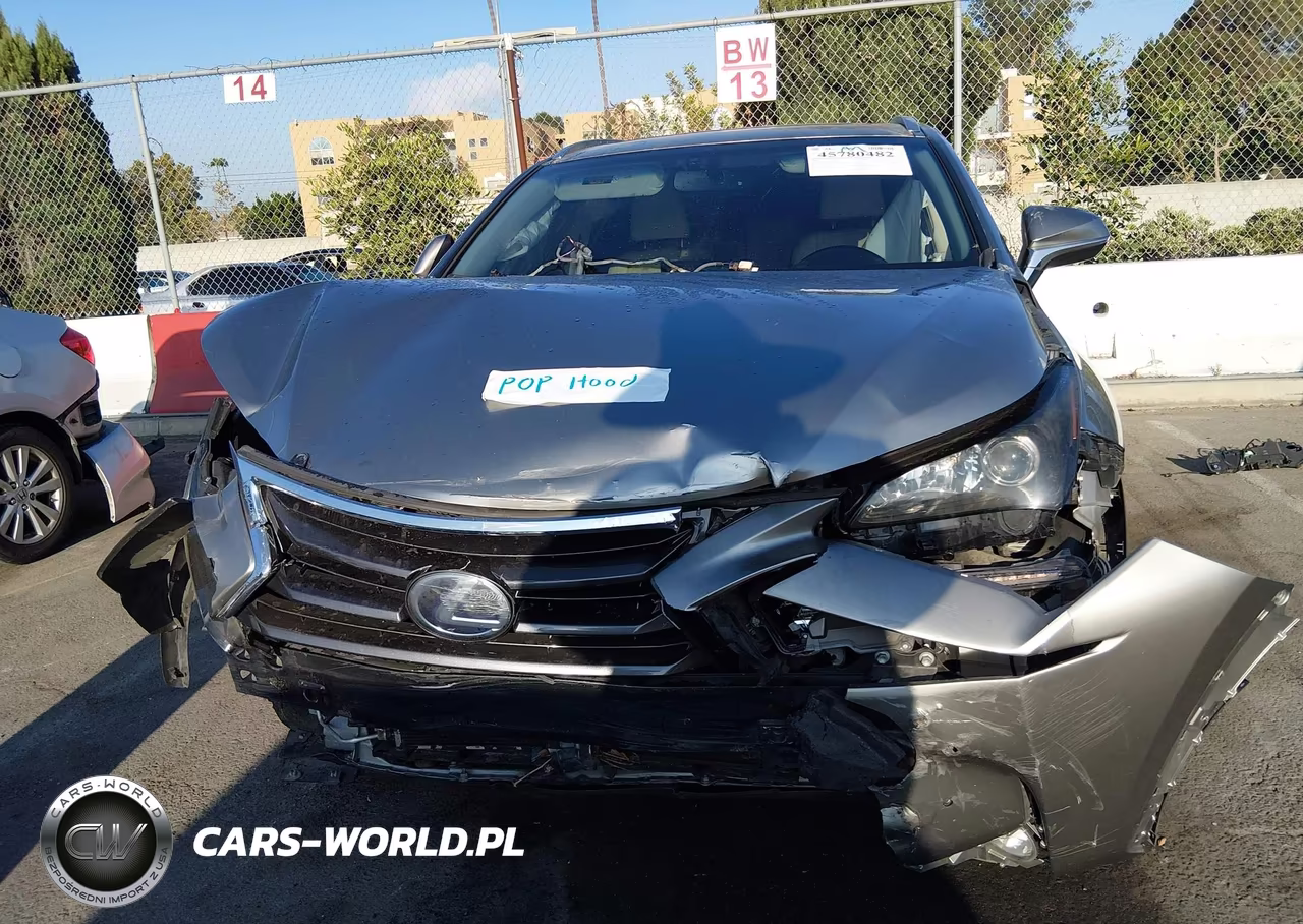 2016 Lexus Nx 300H VIN:JTJBJRBZXG2035548 - 6