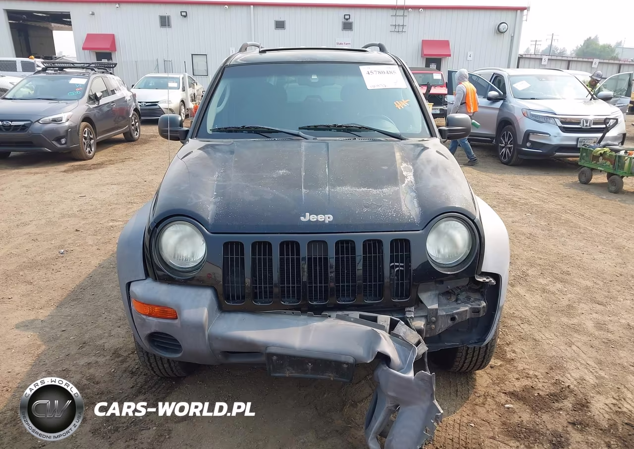 2003 Jeep Liberty Sport VIN:1J4GL48K33W722481 - 12