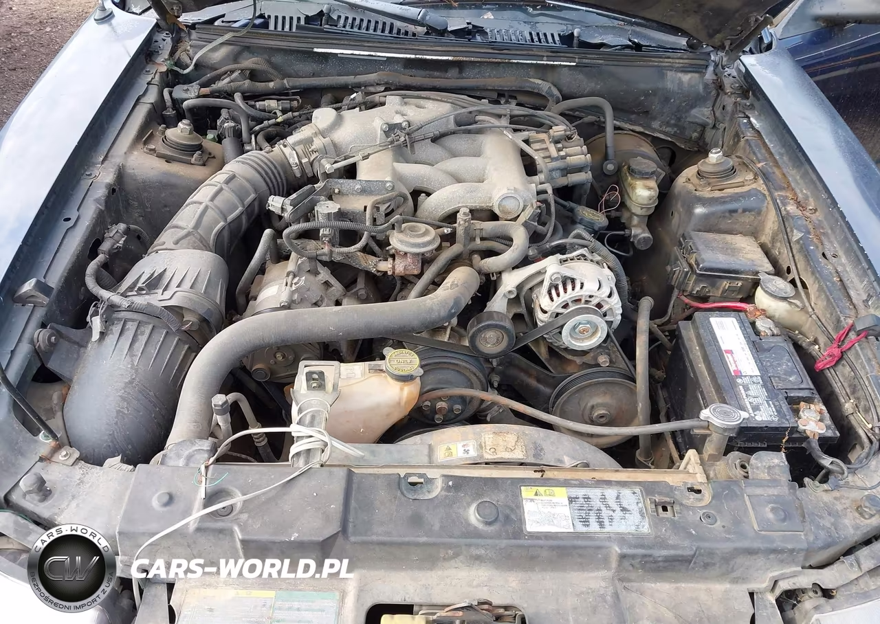 2003 Ford Mustang VIN:1FAFP40493F351559 - 10