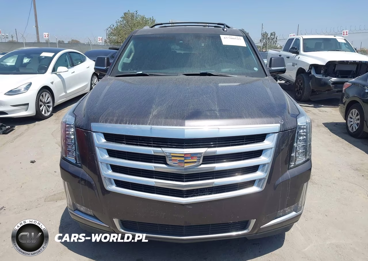 2016 Cadillac Escalade Esv Luxury Collection VIN:1GYS4HKJ5GR296716 - 12