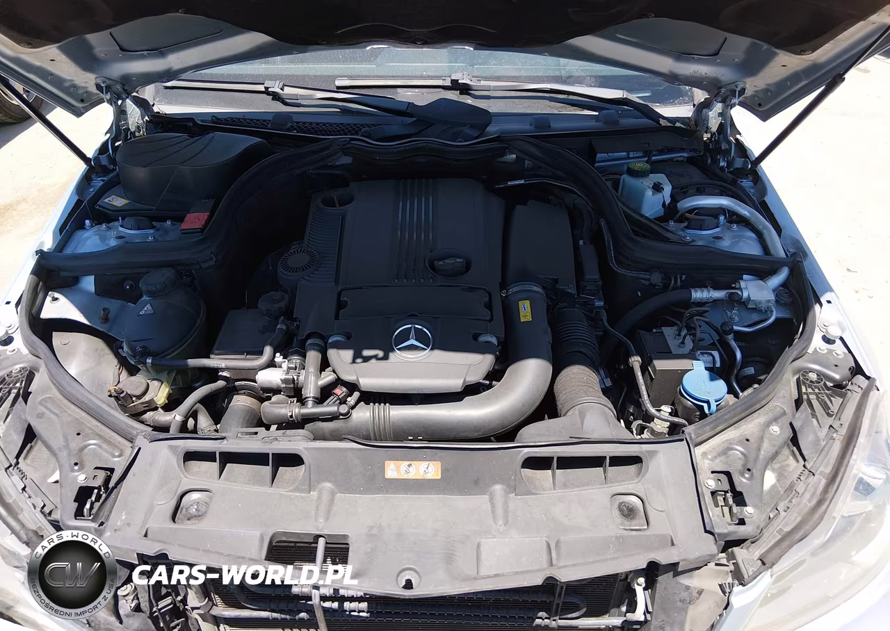 2013 Mercedes-Benz C 250 VIN:WDDGJ4HB8DG033968 - 10