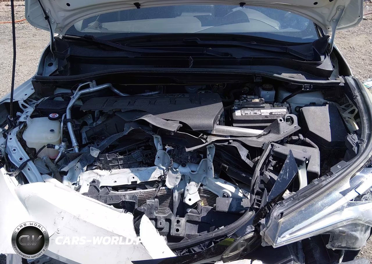 2019 Toyota C-Hr Xle VIN:JTNKHMBXXK1015830 - 10