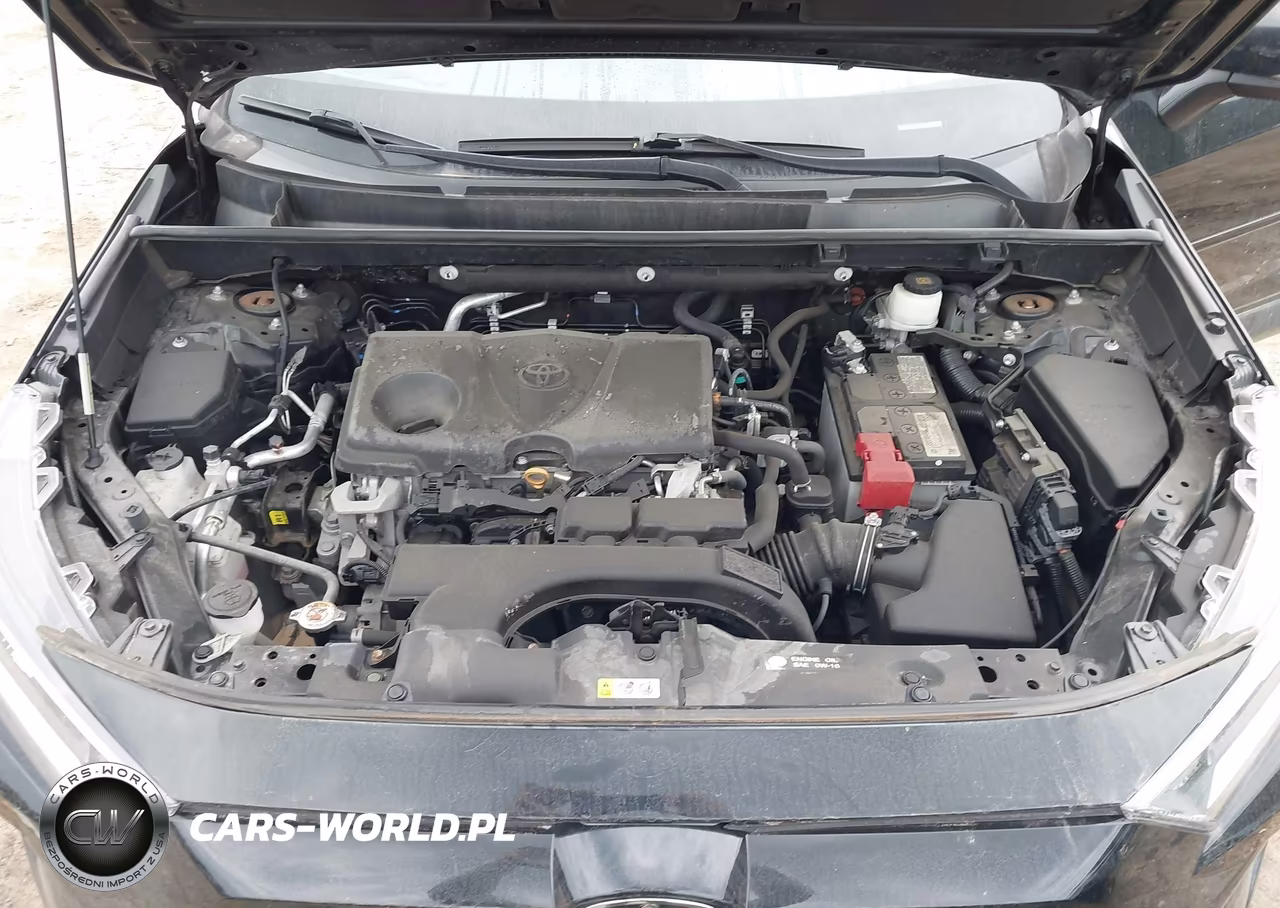 2020 Toyota Rav4 Xle Premium VIN:2T3A1RFV6LW104520 - 10