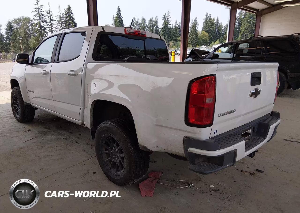 2016 Chevrolet Colorado 4Wd Z71 VIN:1GCPTDE12G1321430 - 3
