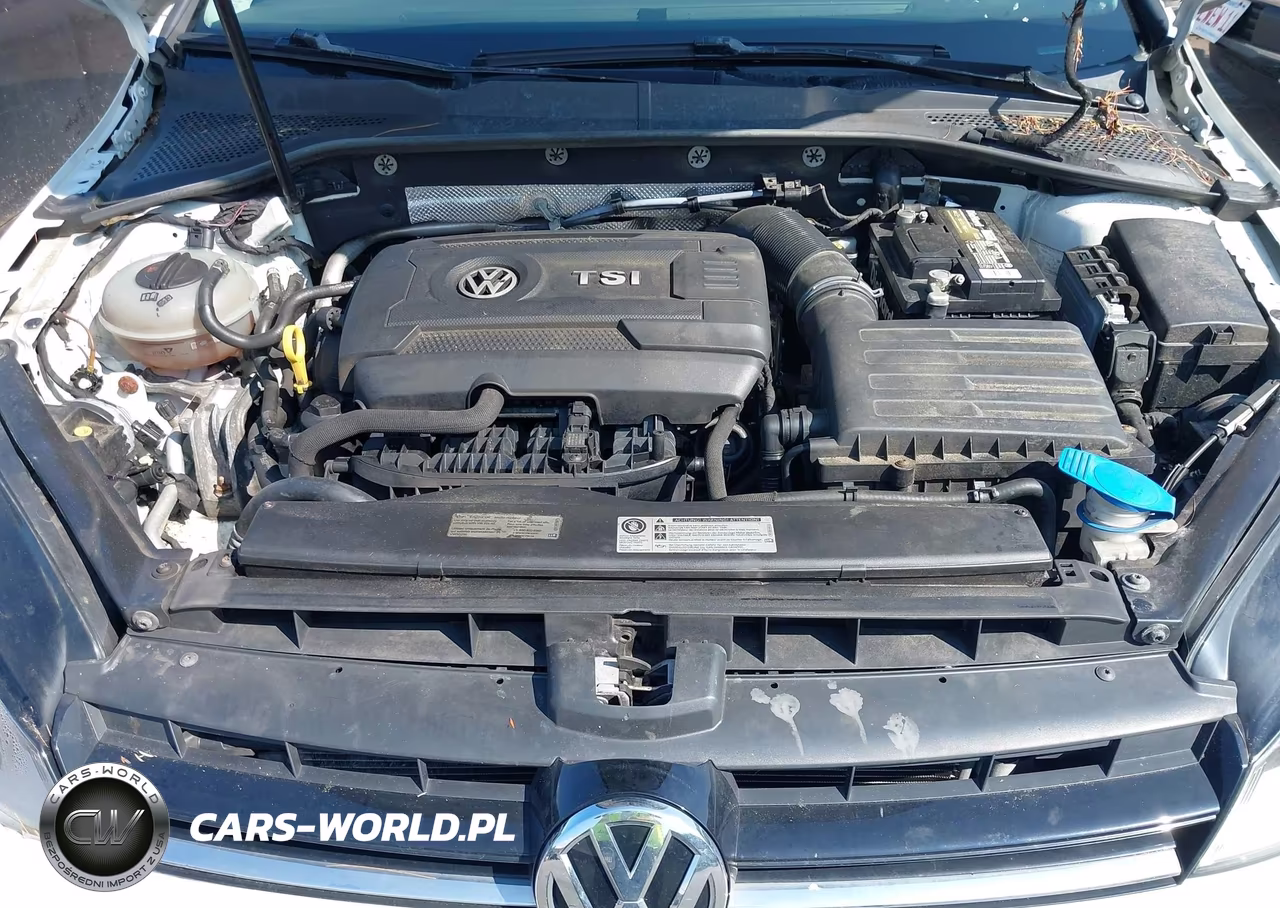 2016 Volkswagen Golf Tsi S 4-Door VIN:3VW217AU5GM032009 - 10