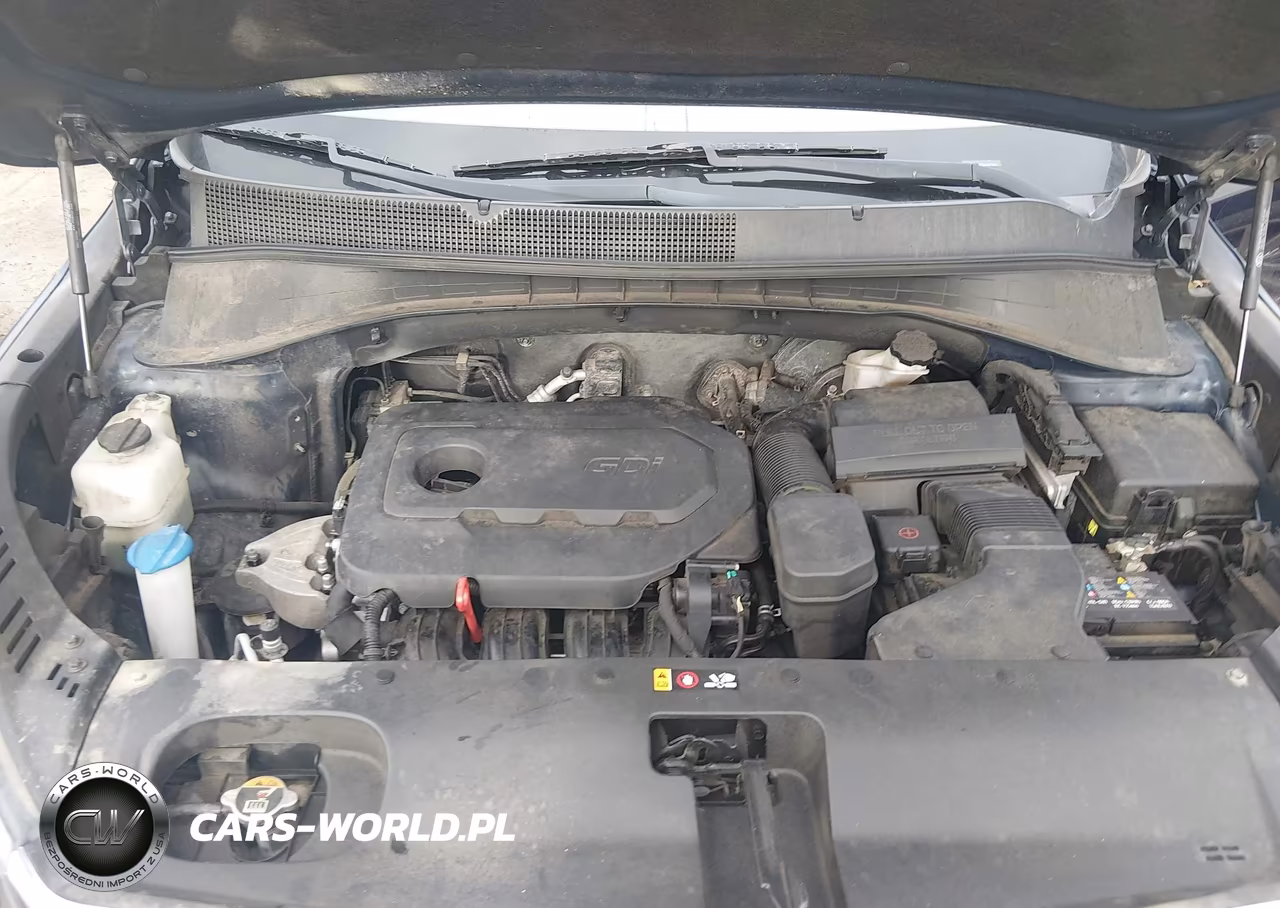 2020 Kia Sorento 2.4L Lx VIN:5XYPGDA3XLG667604 - 10
